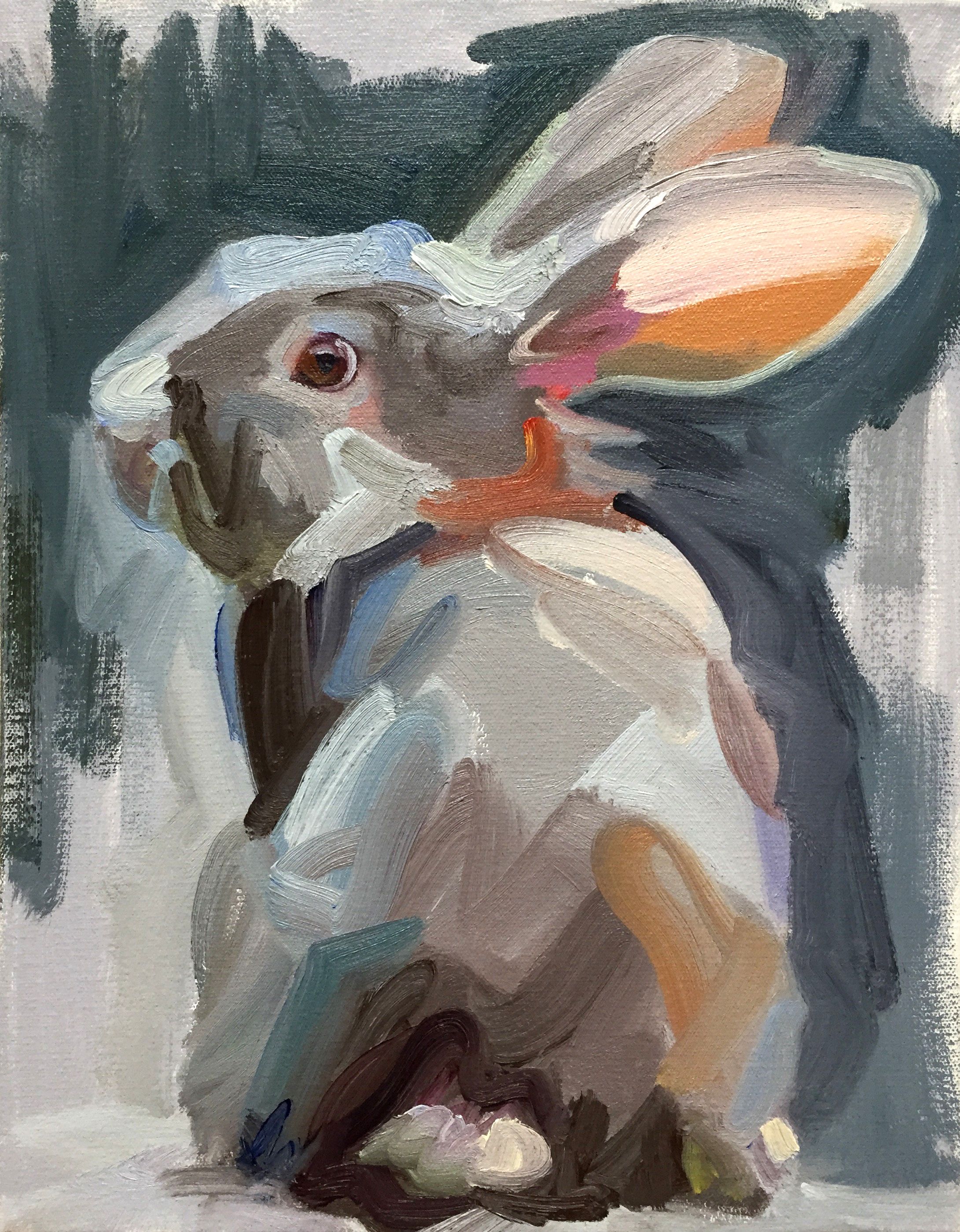 Rabbit